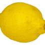 lemon_online.jpg